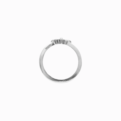 Prsten můra stříbro 03