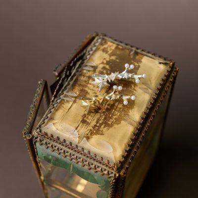 Brož hvězdný les 01 Janja Prokić Amor Fati Brož hvězdný les