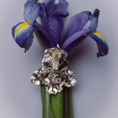 prsten Iris velký Ag image 01